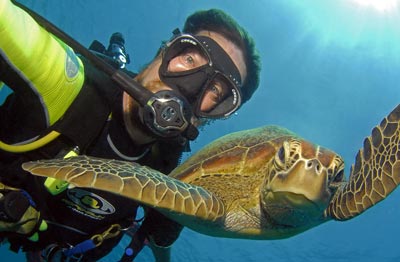 Gary Diving with Turtle in Cairns