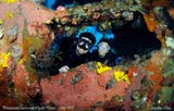 Scuba Diving the Tulamben Wreck in Bali